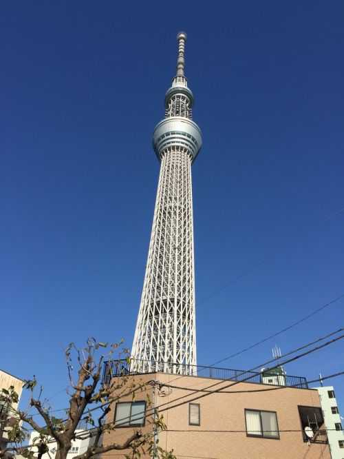 MARATONA DI TOKYO 2017 | 42K 2016